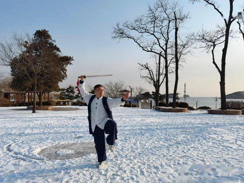 医武修身 传统杨氏太极拳筑基班报名啦