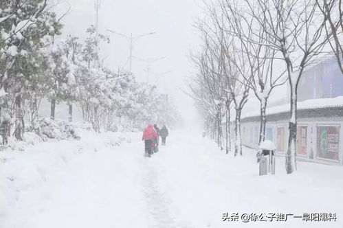 大雪马上就到 阜阳今晚开始下雨