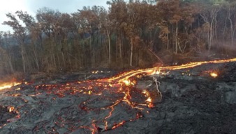 夏威夷活火山喷发,岩浆吞噬森林让人好绝望 