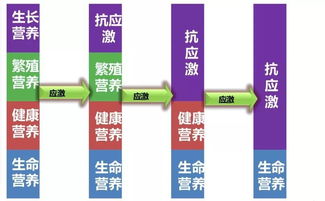 热应激是咋回事 一组简图带您看明白热应激对蛋鸡的危害 