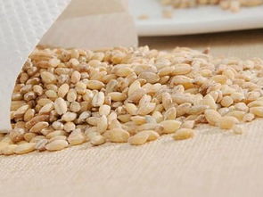 大麦和燕麦的区别,大麦和燕麦的区别