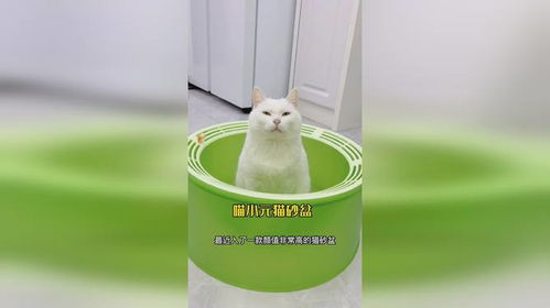 漂亮又实用的猫砂盆,哪只小猫咪能不爱呢