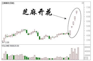 揭秘K线形态“芝麻开花” 怎么分析运用