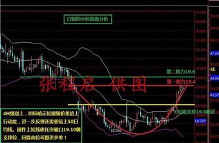 市场信心得到提振，纸浆主力低位回升试探前高