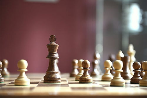 梦见国际象棋是什么意思 大鱼解梦网 