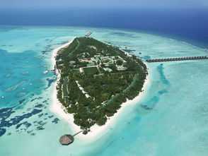 马尔代夫蜜月岛的地理位置经纬度是多少（蜜月马尔代夫旅游报价）