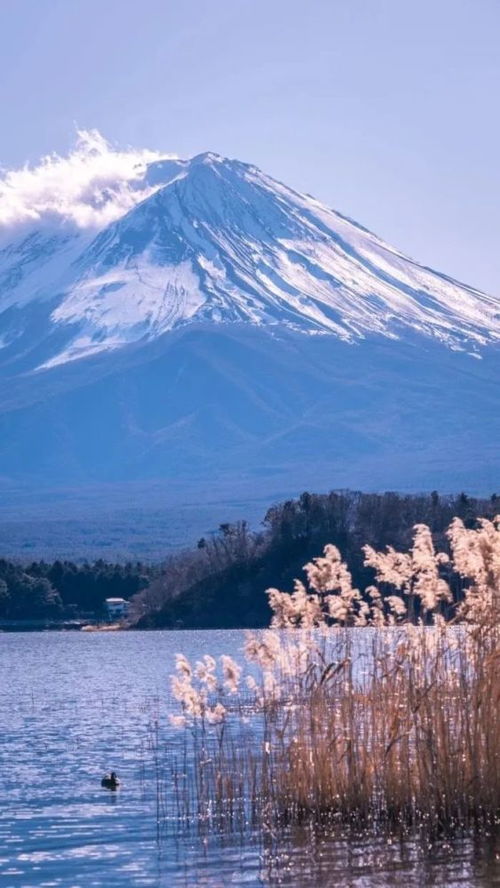 暗示自己不敢再心动的文案 谁人能凭爱意将富士山私有