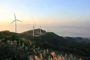 闸坡风车山停车场,海陵岛周边有哪些景点