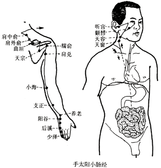 针灸学十二经脉 六 手太阳小肠经 共19穴 症状 治愈方法 诊断 