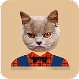 猫头贴纸手机版下载 猫头贴纸app下载v1.0 安卓最新版 安粉丝手游网 
