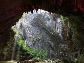 100蚊出头 去 小张家界 睇靓景,挑战悬空玻璃栈道 你点可以错过 