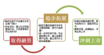 国家公众营养改善项目商业计划书参考模板