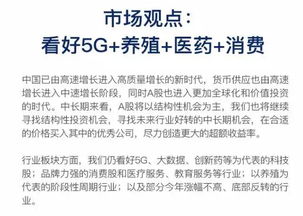 中欧匠心两年持有期混合基金这只基金怎么样？