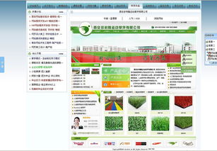 西安网页设计培训