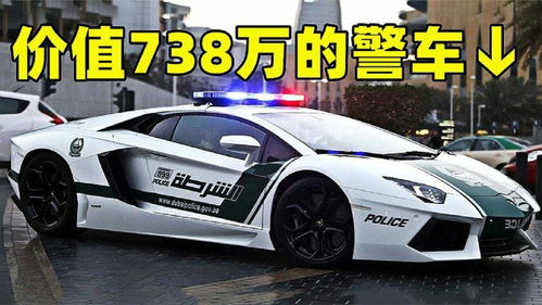 迪拜警车为什么都是跑车 盘点4个最贵的迪拜警车 看完表示太有钱 