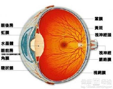 我们要如何预防视网膜脱落