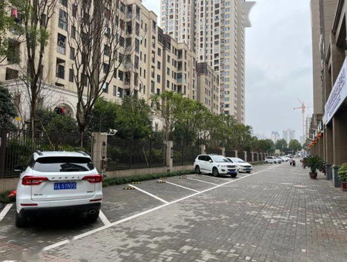 绵阳哪里可以免费停车(禹洲大学城周边免费停车场)