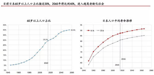 从日本消费社会演变史,窥见未来20年的中国