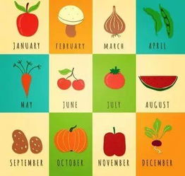 一年四季水果时间表 1一12个月水果顺口溜