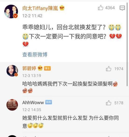 豪门媳妇不好当,郭碧婷至今未领结婚证,换发型都要经婆婆同意