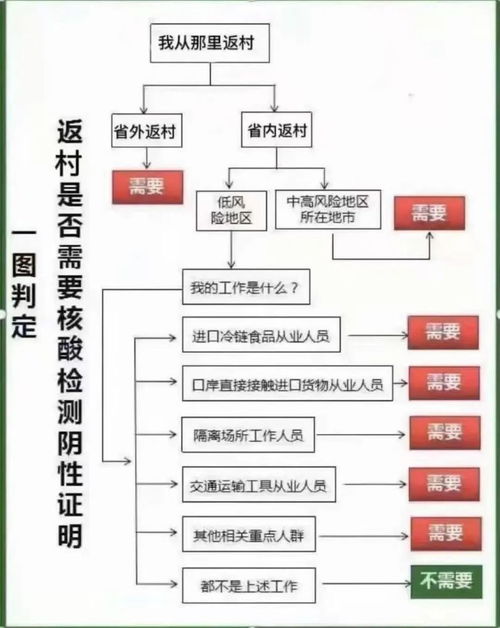 核酸检测返乡流程,春节返乡如何在支付宝上预约核酸检测