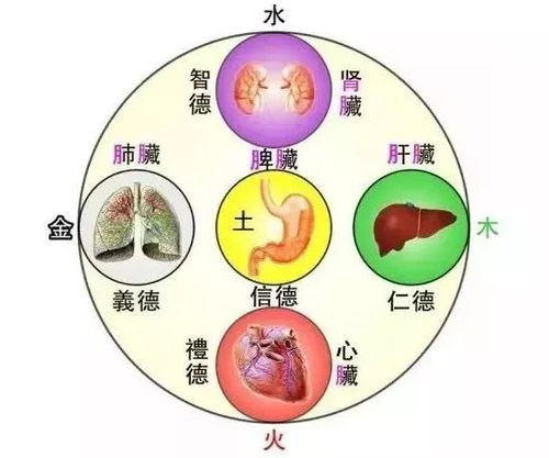 每日小知识 如何分清五脏之火