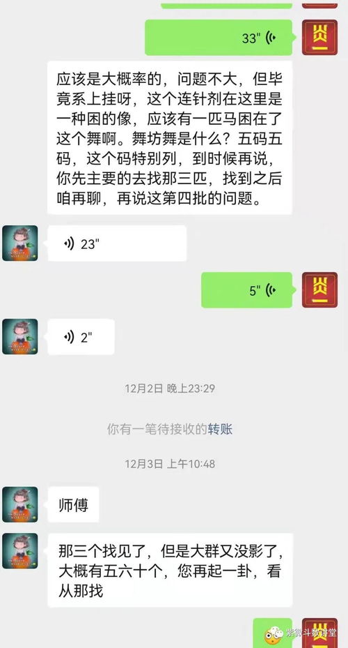 紫微斗数占卜的规则和注意事项