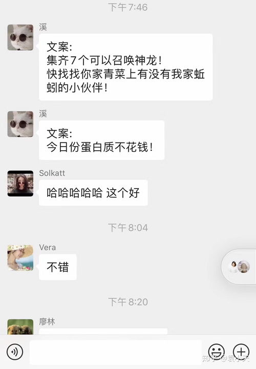 朋友圈只发自拍,配什么文案比较好 