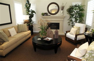 室内装饰 客厅中如何选择适合的绿植