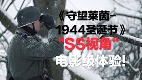 华沙党卫军1944 高清