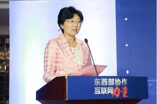 东西部协作 互联网力量 赶街闪耀第三届全国农村电子商务大会顺利召开