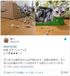 推特 猫妖怪图鉴 话题大火 日网友纷纷晒起自家猫