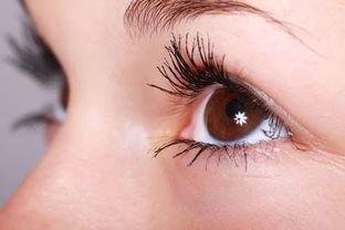 眼睛疾病有哪些,眼睛疾病有哪些种类及症状