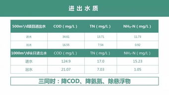 mbr运行毕业论文