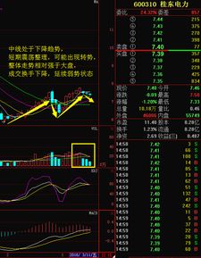 桂东电力（600310）未来趋势怎么样？