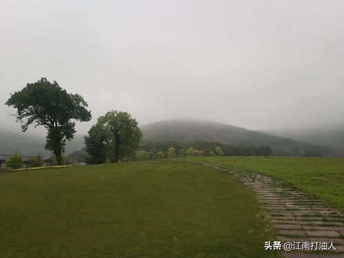 关于雨中游玩的诗句