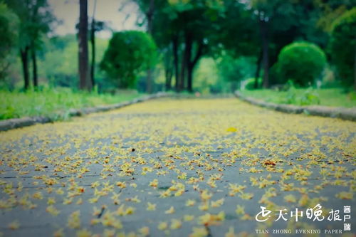 关于雨和青苔的诗句