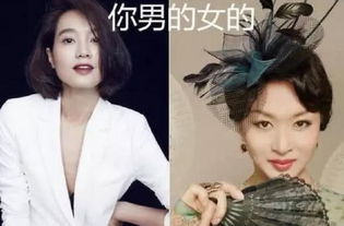 朱丹问金星是男是女,金星只回答4个字,巧妙化解尴尬,情商真高 