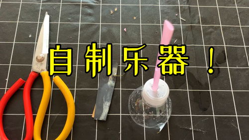 用吸管和矿泉水瓶就能制作乐器,是真的吗 