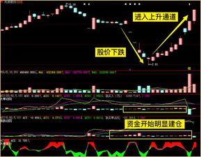 一直一来都用通达信，最近想用全推，昨天下了个，大智慧策略投资终端，，让后编辑公式，下载数据，为什么