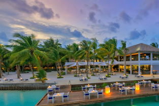马尔代夫椰子岛环球酒店海滩度假的最佳去处（马尔代夫椰子蟹）