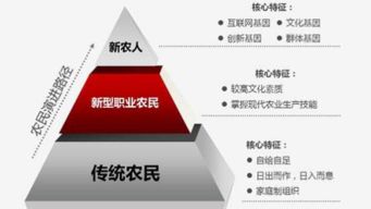 农村金融的编者注