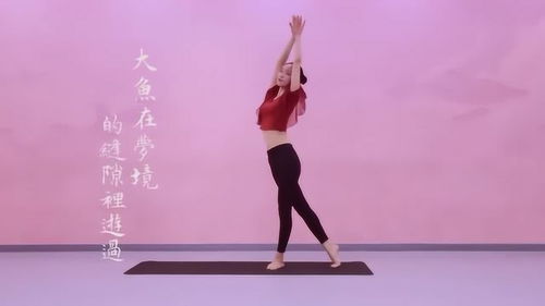 瑜伽 舞韵瑜伽 大鱼 的教学视频,自己在家也能跟着学习 