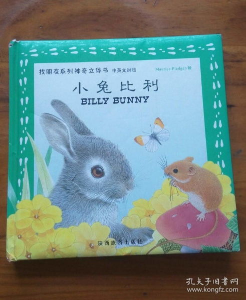 找朋友系列神奇立体书 小兔比利 中英对照