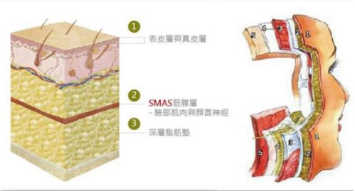 表情 表情栏含表情图拧棚我已经努力骨膜 表情包之园 表情 