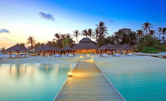 马尔代夫薇拉莎露岛游记一段浪漫的海岛之旅（马尔代夫维拉）