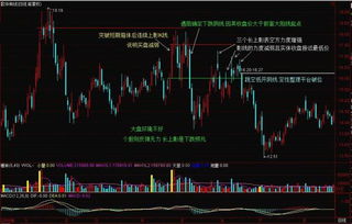 炒股技巧：哪些反弹可以抢