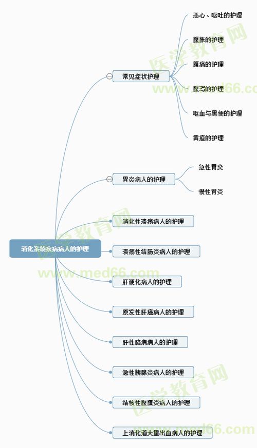 消化系统疾病病人的护理毕业论文