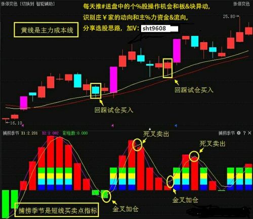 为什么奥运开始了,股票却还跌得更厉害?