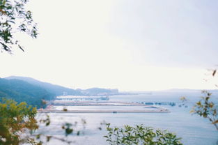 免费免预约 深圳这个绝美小渔村就要藏不住了 阳光海浪沙滩 假期就该浪起来